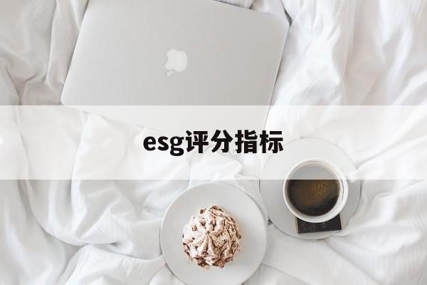 esg评分指标(esspri评分表)